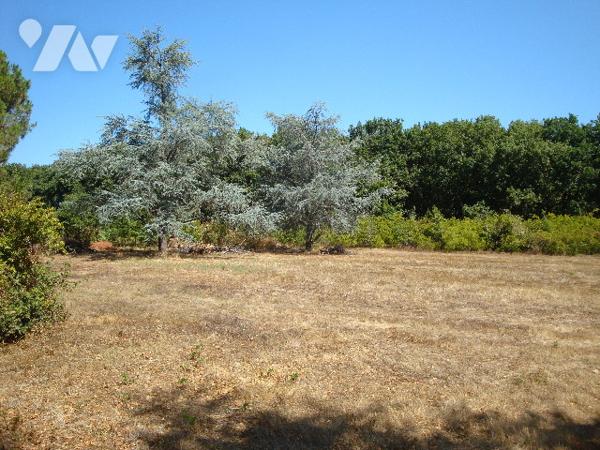 Villemur sur tarn : terrain de 6770 m2 dont 4000 m2 environ sont constructibles dans un parc.