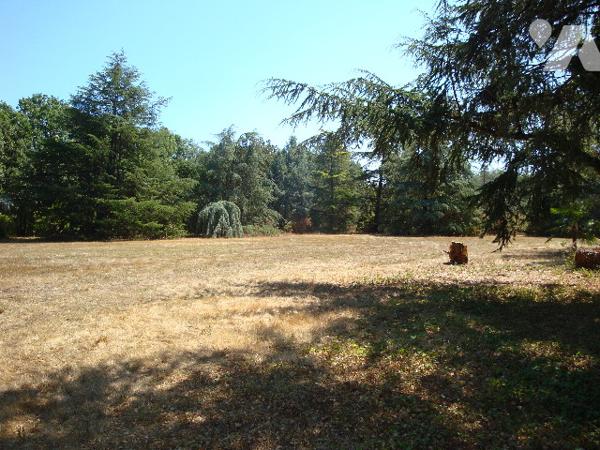 Villemur sur tarn : terrain de 6770 m2 dont 4000 m2 environ sont constructibles dans un parc.