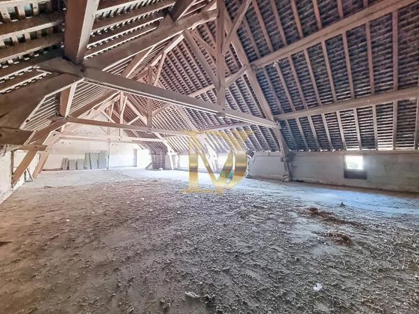 "LE RANCH" - Propriété équestre de 4,5 hectares sur Bléré