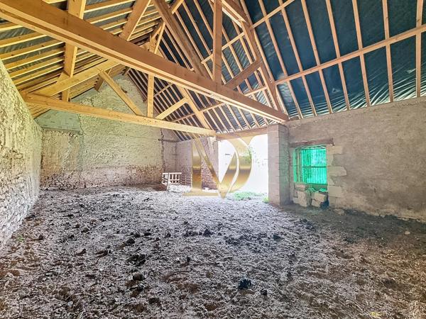 "LE RANCH" - Propriété équestre de 4,5 hectares sur Bléré