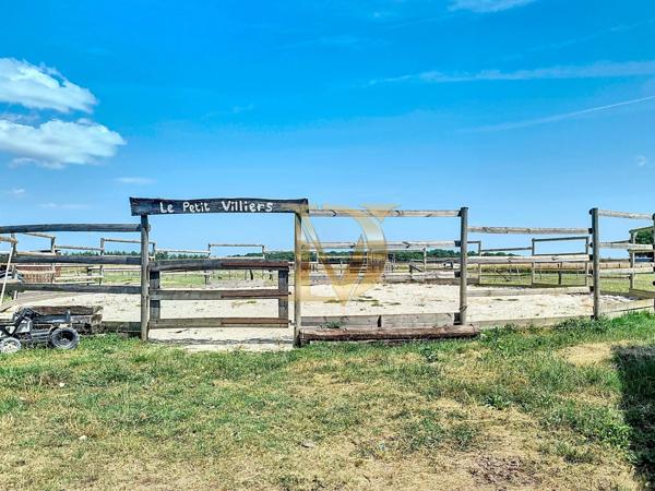 "LE RANCH" - Propriété équestre de 4,5 hectares sur Bléré