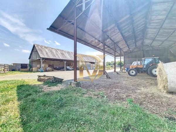 "LE RANCH" - Propriété équestre de 4,5 hectares sur Bléré
