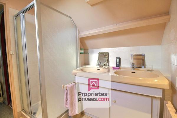 MAISON de CHARME AVEC PONTON PRIVE SUR LE LOING - TERRAIN d'environ 6000 m2 dont parcelle constructible - 10 mn de MONTARGIS