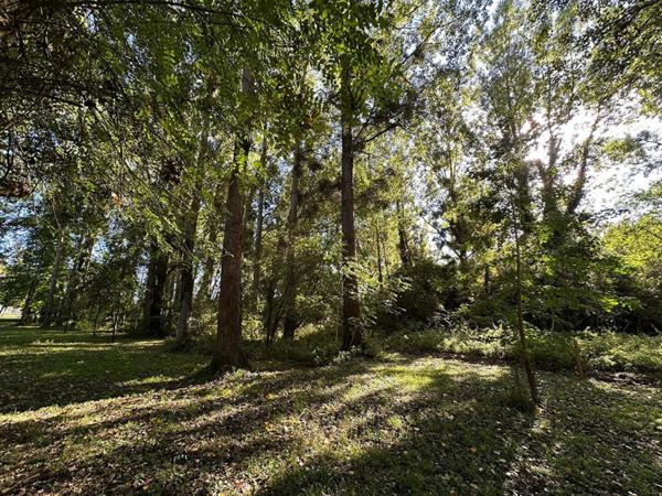 MAISON de CHARME AVEC PONTON PRIVE SUR LE LOING - TERRAIN d'environ 6000 m2 dont parcelle constructible - 10 mn de MONTARGIS