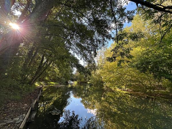 MAISON de CHARME AVEC PONTON PRIVE SUR LE LOING - TERRAIN d'environ 6000 m2 dont parcelle constructible - 10 mn de MONTARGIS