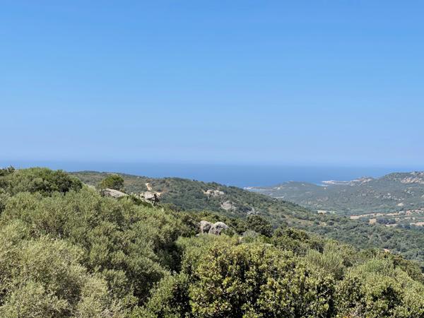 Sartène (20100) Charmante maisonnette T3 à Serraggia