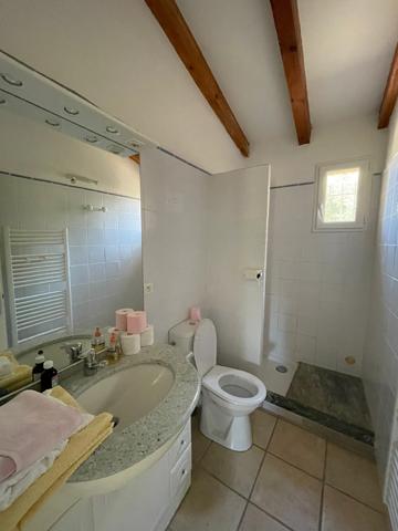 Sartène (20100) Charmante maisonnette T3 à Serraggia