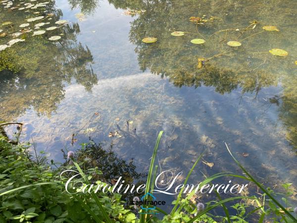 Maison à vendre 4 pièces proche Bonnetable (72) chalet d habitation 3 chambres, plan d ' eau terrain 5000 m²