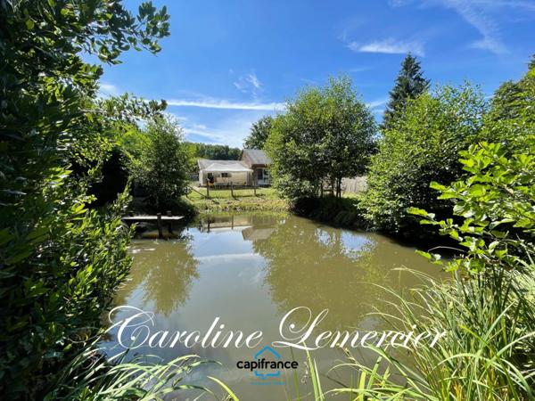 Maison à vendre 4 pièces proche Bonnetable (72) chalet d habitation 3 chambres, plan d ' eau terrain 5000 m²