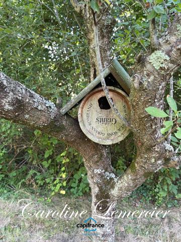 Maison à vendre 4 pièces proche Bonnetable (72) chalet d habitation 3 chambres, plan d ' eau terrain 5000 m²