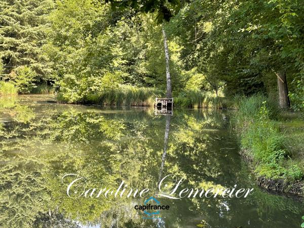 Maison à vendre 4 pièces proche Bonnetable (72) chalet d habitation 3 chambres, plan d ' eau terrain 5000 m²