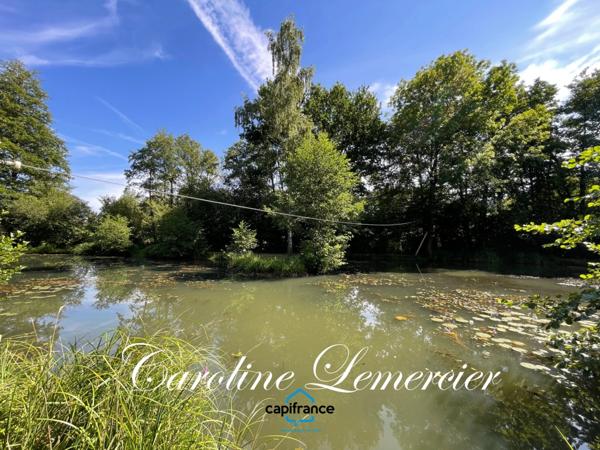 Maison à vendre 4 pièces proche Bonnetable (72) chalet d habitation 3 chambres, plan d ' eau terrain 5000 m²