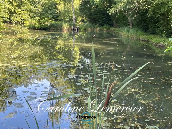 Maison à vendre 4 pièces proche Bonnetable (72) chalet d habitation 3 chambres, plan d ' eau terrain 5000 m²