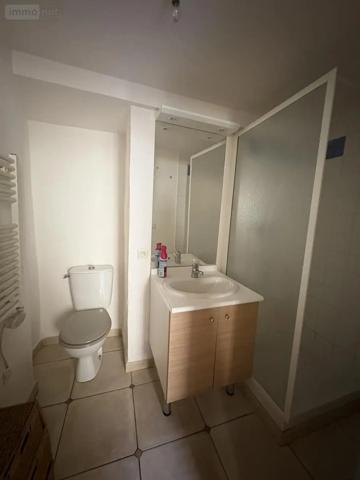 Achat - Appartement Forcalquier 04300 1 pièce 28 m 2 209 m 2