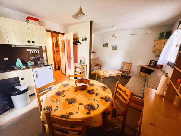 GRAND STUDIO CABINE  AVEC CAVE ET PARKING PRIVATIF 31m2