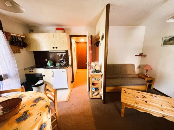 GRAND STUDIO CABINE  AVEC CAVE ET PARKING PRIVATIF 31m2