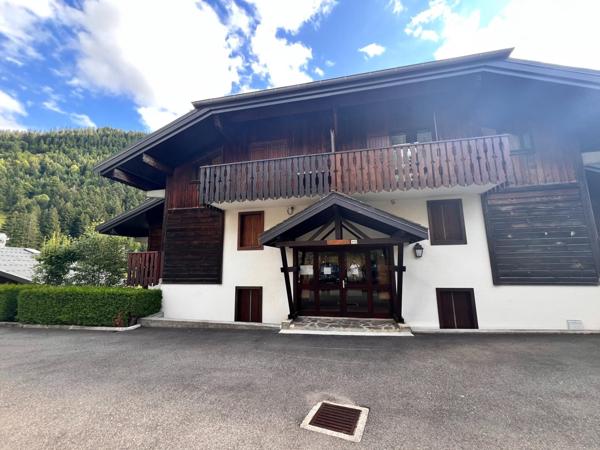 GRAND STUDIO CABINE  AVEC CAVE ET PARKING PRIVATIF 31m2