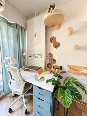 Mandelieu-la-Napoule (06210) COUP DE COEUR - Exclusivité Mandelieu - Studio avec alcôve et jardin.