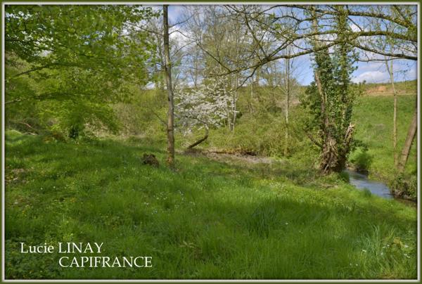 Maison de caractère sur près d'1 hectare