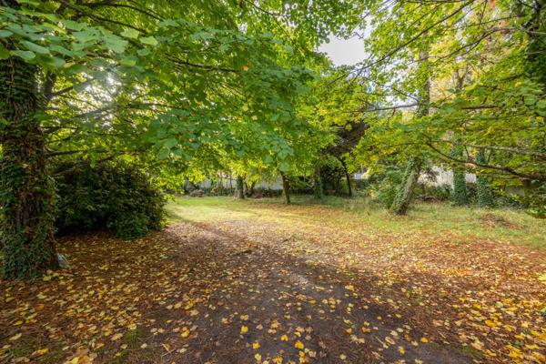 Terrain arboré de 904m²