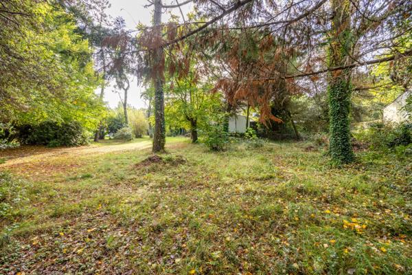 Terrain arboré de 904m²