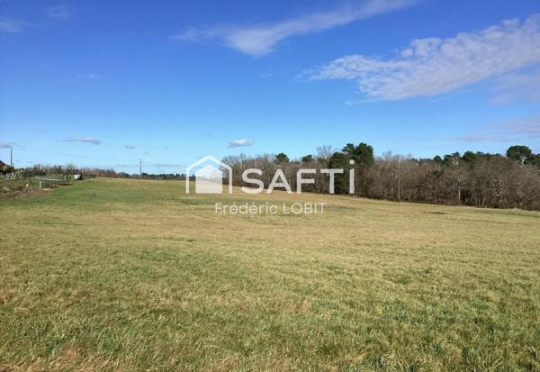 Magnifique terrain à bâtir sur la commune de Saint-Aigulin
