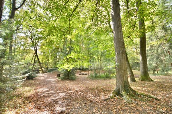 PROPRIÉTÉ EN PIERRE 545 M2, TERRAIN ARBORÉ DE 6972 M2, ANCIEN MOULIN, GÎTE, APPARTEMENT, MAISON, STUDIO, 15 CHAMBRES, DÉPENDANCES, GARAGE, FIBRE OPTIQUE, PUITS PANNEAUX SOLAIRES