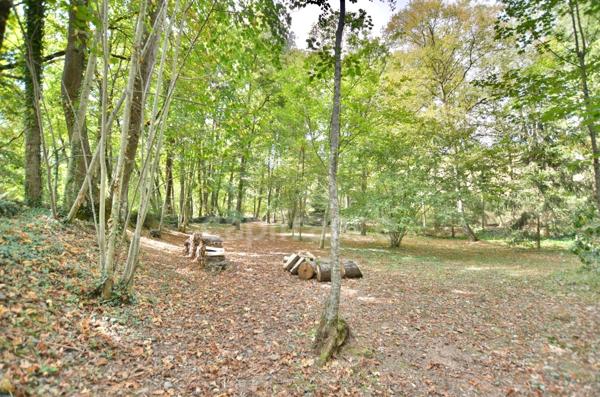 PROPRIÉTÉ EN PIERRE 545 M2, TERRAIN ARBORÉ DE 6972 M2, ANCIEN MOULIN, GÎTE, APPARTEMENT, MAISON, STUDIO, 15 CHAMBRES, DÉPENDANCES, GARAGE, FIBRE OPTIQUE, PUITS PANNEAUX SOLAIRES