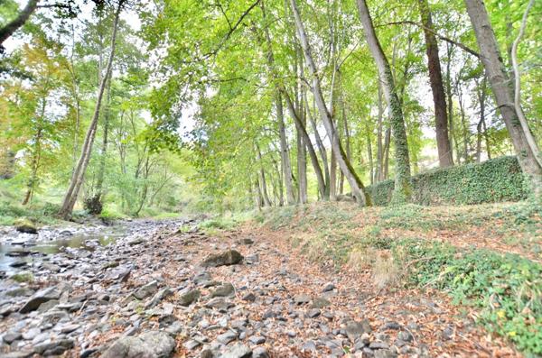 PROPRIÉTÉ EN PIERRE 545 M2, TERRAIN ARBORÉ DE 6972 M2, ANCIEN MOULIN, GÎTE, APPARTEMENT, MAISON, STUDIO, 15 CHAMBRES, DÉPENDANCES, GARAGE, FIBRE OPTIQUE, PUITS PANNEAUX SOLAIRES