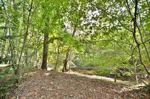 PROPRIÉTÉ EN PIERRE 545 M2, TERRAIN ARBORÉ DE 6972 M2, ANCIEN MOULIN, GÎTE, APPARTEMENT, MAISON, STUDIO, 15 CHAMBRES, DÉPENDANCES, GARAGE, FIBRE OPTIQUE, PUITS PANNEAUX SOLAIRES