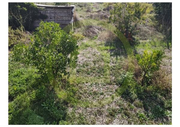 Maison à BASTELICACCIA (20129)