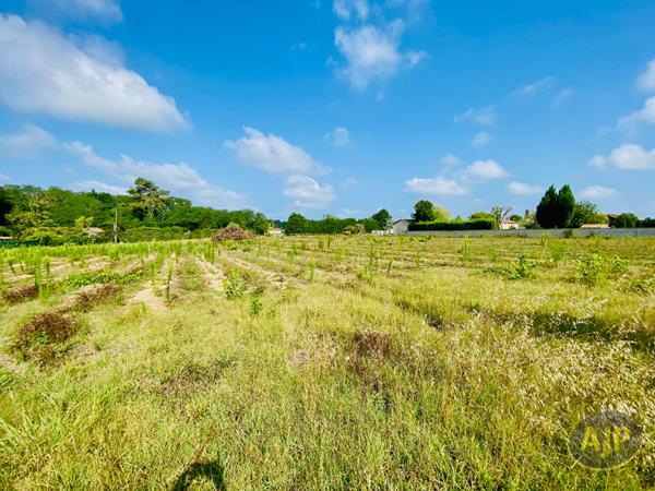 Vente terrain Saint Germain D Esainteuil : 81 000 € - AJP Lesparre Immobilier