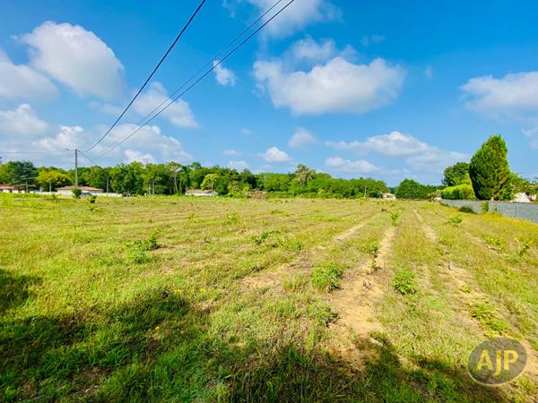 Vente terrain Saint Germain D Esainteuil : 81 000 € - AJP Lesparre Immobilier