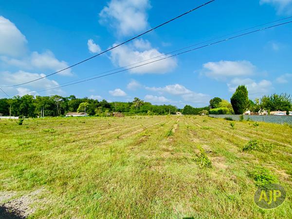 Vente terrain Saint Germain D Esainteuil : 81 000 € - AJP Lesparre Immobilier