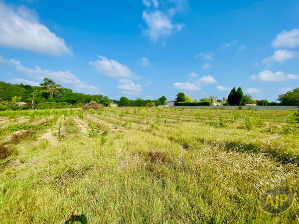 Vente terrain Saint Germain D Esainteuil : 81 000 € - AJP Lesparre Immobilier