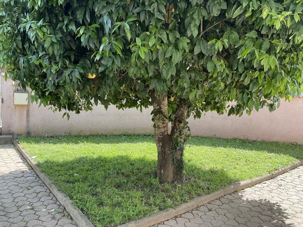 Prunelli-di-Fiumorbo (20243) Maison T5 centre miggliacciaru