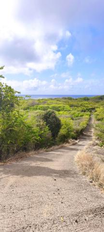 Terrain à bâtir 990 m² - Vue Atlantique - Sainte-Anne Cap Chevalier