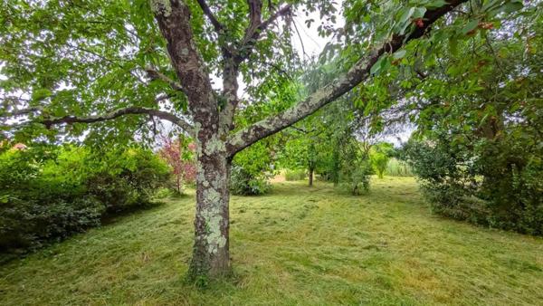 CHARMANTE MAISON EN PIERRE ET GRAND TERRAIN !