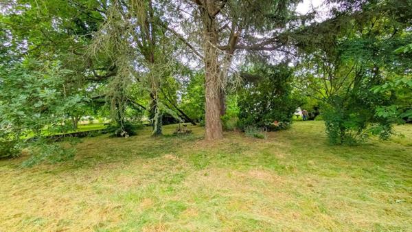 CHARMANTE MAISON EN PIERRE ET GRAND TERRAIN !