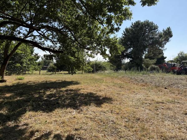 Vente / Terrain constructible à Arvert (17530)