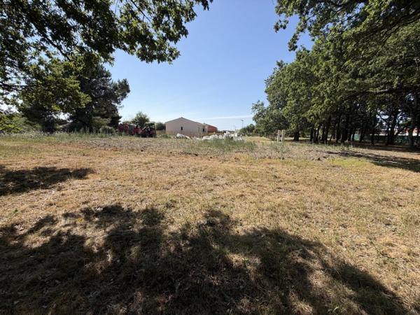 Vente / Terrain constructible à Arvert (17530)