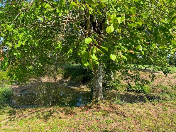 Maison à vendre 5 pièces MARGOUET MEYMES (32) - 106m2 de surface habitable - 11999 m2