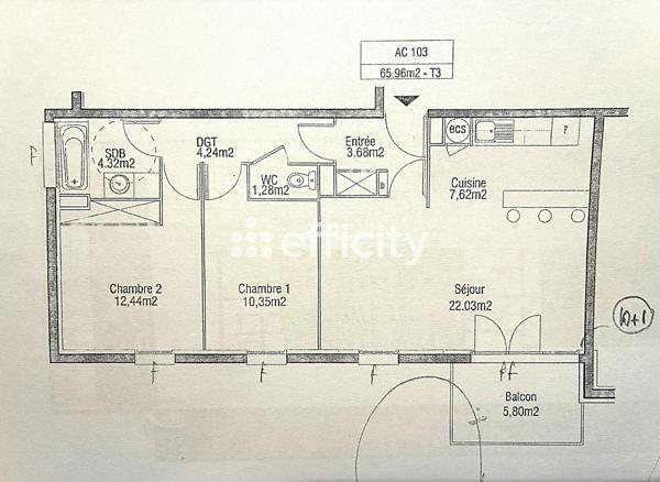 Appartement 3 pièces - 66 m² Exclusivité efficity