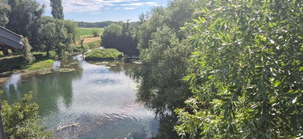 Superbe Ensemble Immobilier de 240 m² Style Champenois à Réhabiliter avec ses Greniers, Dépendances et 1 Logement Résidentiel de 210 m² Entièrement Rénover avec sa Cour avant sécurisée, son Toit Terrasse de 210 m² aménagé et décoré et son Terrain clos, ar