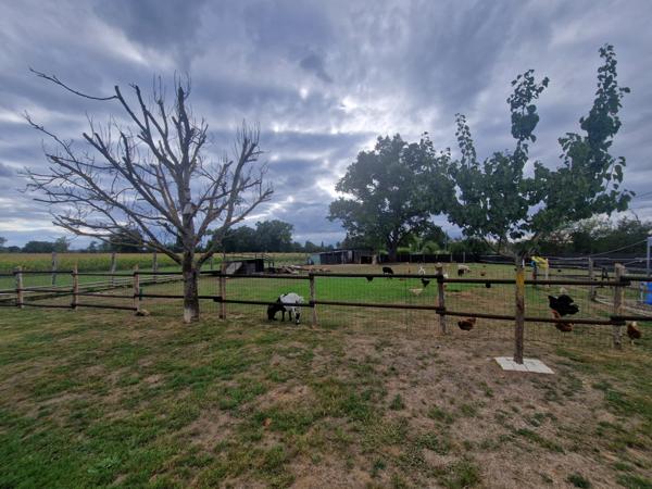 fermette rénovée, grd terrain