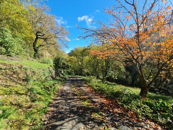 Maison de charme sur plus de 4 hectares entre St-Ambroix et Bessèges
