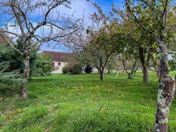 Maison rurale à vendre à Le Tranger dans l'Indre (36700), ref : 016/436