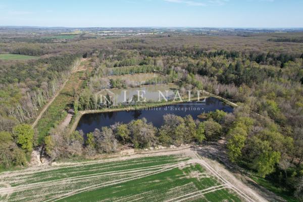 Propriété de 237 hectares en Sologne, avec de nombreux étangs, dédiée à la chasse et à l'agriculture
