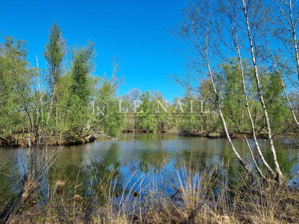 Propriété de 237 hectares en Sologne, avec de nombreux étangs, dédiée à la chasse et à l'agriculture