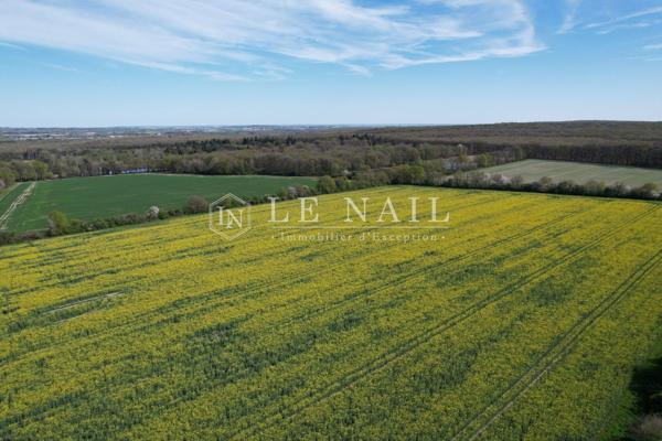 Propriété de 237 hectares en Sologne, avec de nombreux étangs, dédiée à la chasse et à l'agriculture